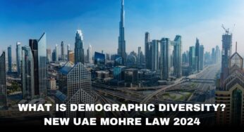 What is Demographic Diversity? New UAE Visa Rule – It Affects all Nationalities, Not Only Indian