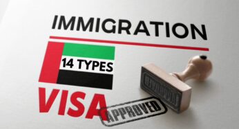 14 Types of UAE Visas and Comparison: Complete Details With Pricing in 2024