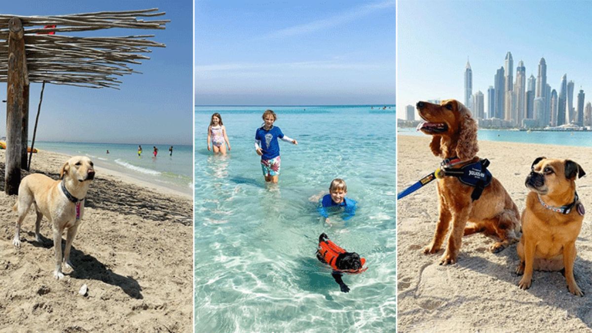 Exploring Pet-Friendly Paradise: Seven Beach Havens from Dubai Islands to Al Hamra in the UAE