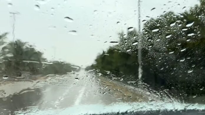 Weather Alert: Possibility of Heavy Rain and Drizzle in UAE; Public Advisory