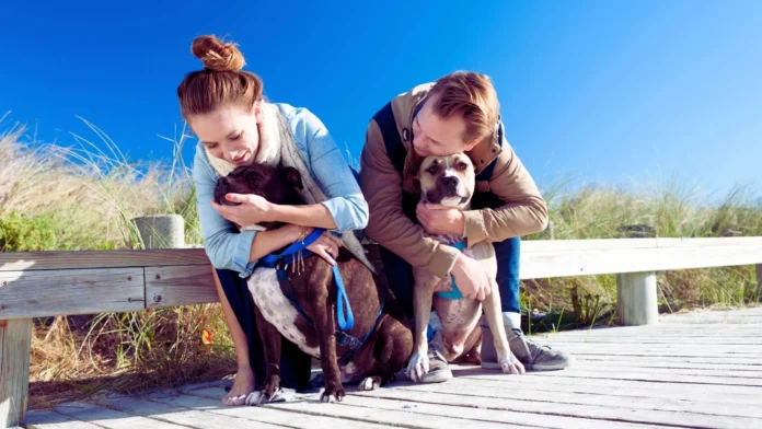 Abu Dhabi launches mandatory pet registration through the TAMM portal to manage stray animals and public health risks.